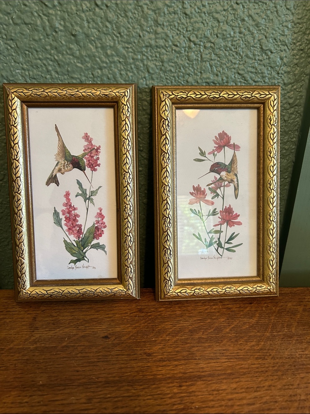 Hummingbird prints